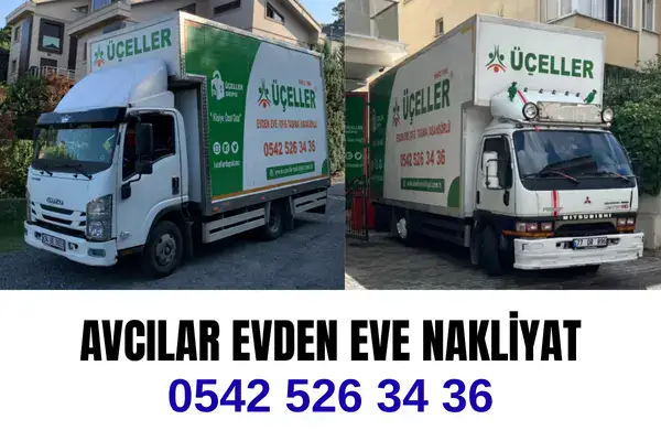 Avcılar Evden Eve Nakliyat